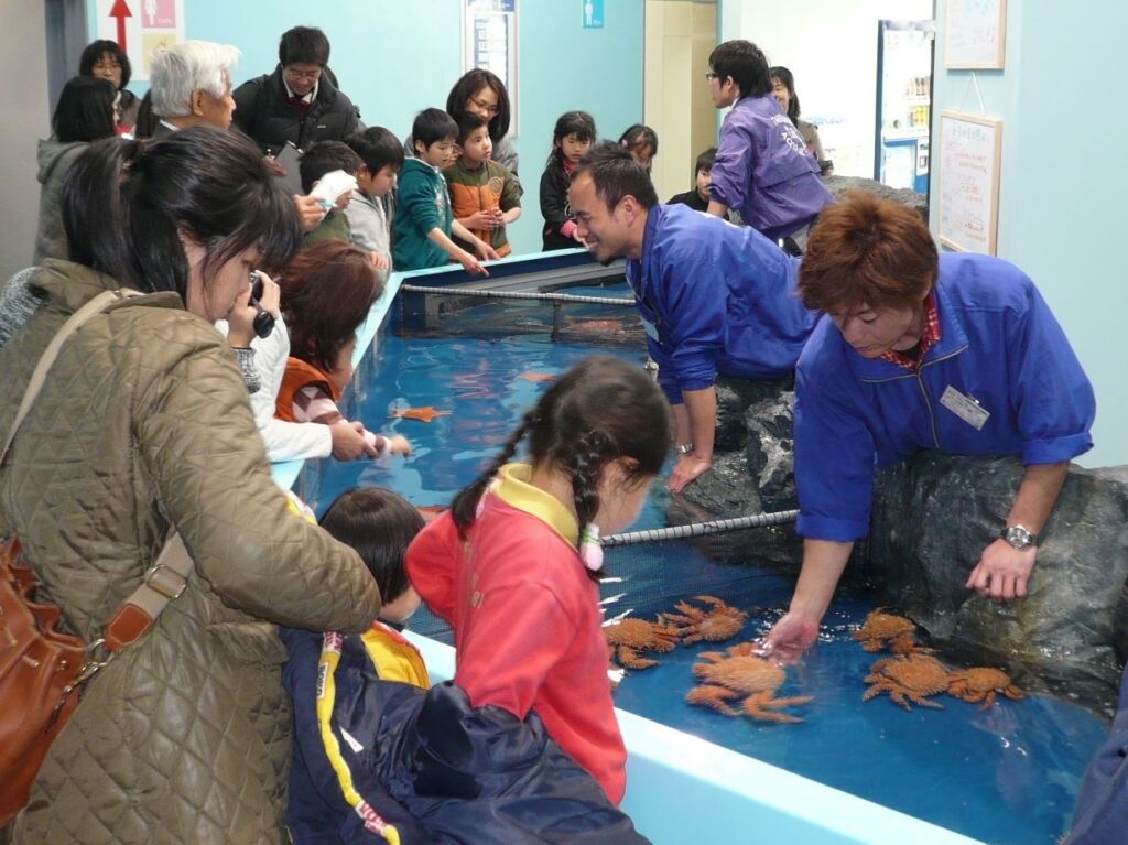 さわりんプール