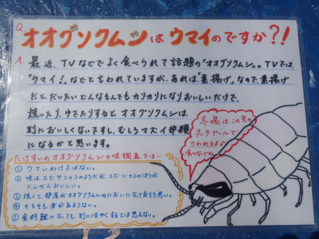 ダイオウグソクムシ