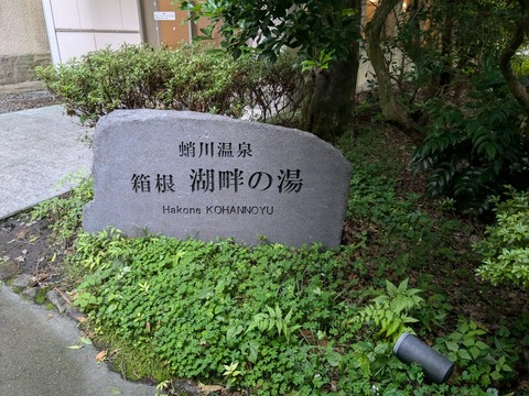 PXL_20240709_090646750