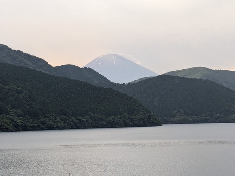 PXL_20240709_093133998