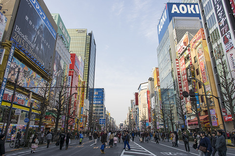 akiba2