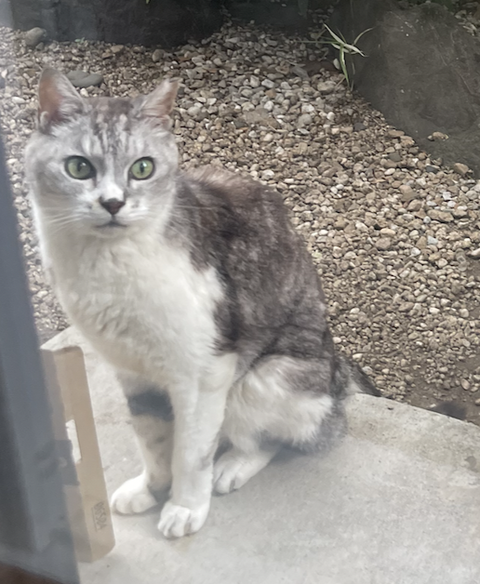 スクリーンショット 2025-08-10 13.50.10