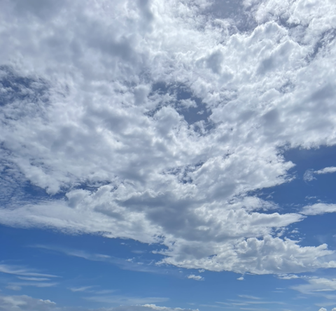 スクリーンショット 2022-07-27 23.37.56