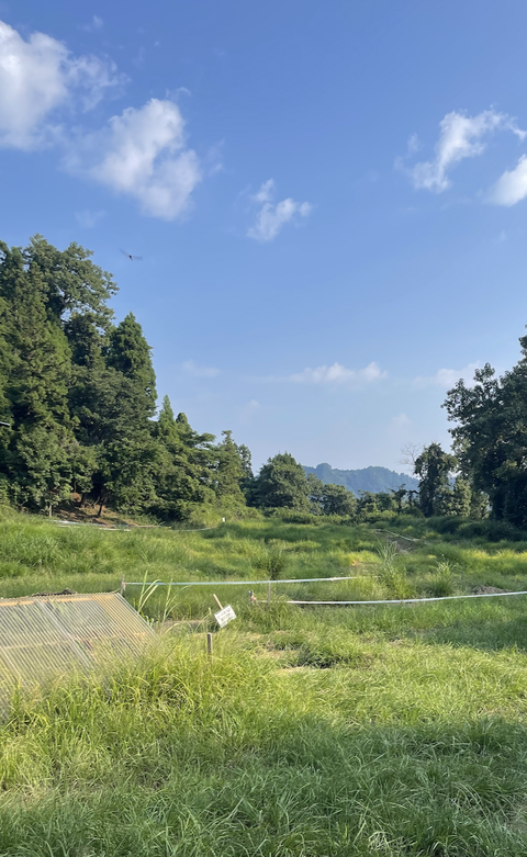 スクリーンショット 2025-09-02 6.36.16