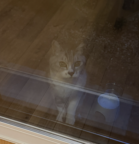 スクリーンショット 2026-01-06 22.58.23