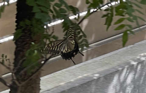 スクリーンショット 2023-07-21 11.40.30