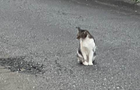 スクリーンショット 2025-10-17 23.59.24