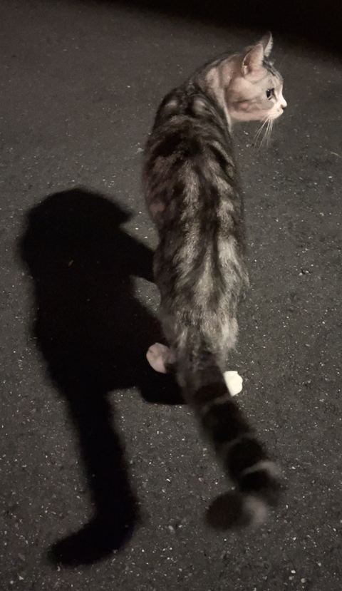 スクリーンショット 2022-10-01 11.28.52