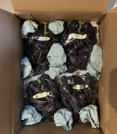 スクリーンショット 2025-08-29 9.07.19