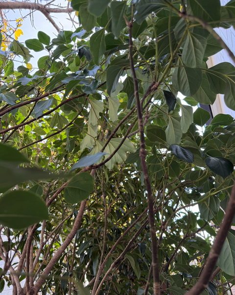 スクリーンショット 2026-03-30 23.28.48