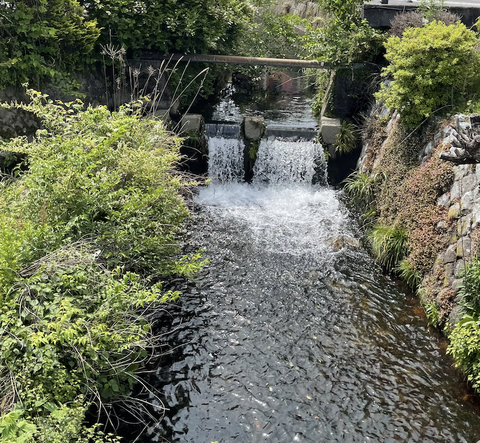 スクリーンショット 2021-05-31 15.24.02