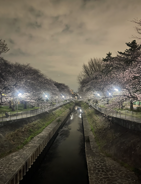 スクリーンショット 2022-04-01 11.19.33