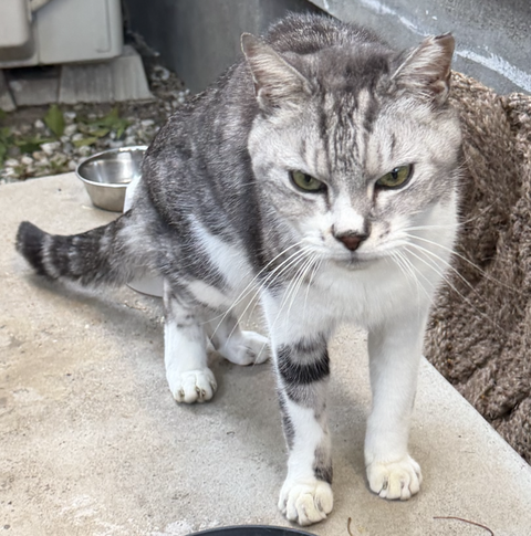 スクリーンショット 2025-11-29 13.16.55