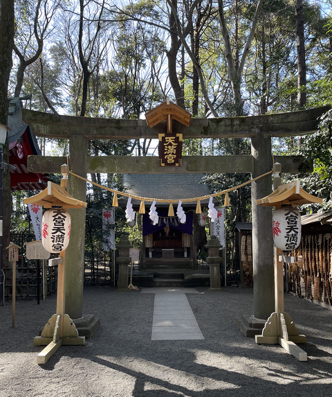 スクリーンショット 2024-02-29 11.37.20