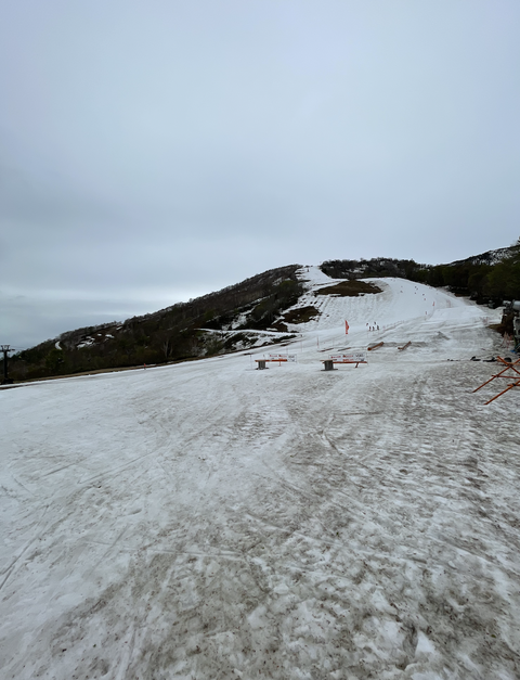 スクリーンショット 2024-05-07 19.54.28