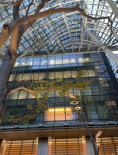 スクリーンショット 2025-03-19 14.41.25