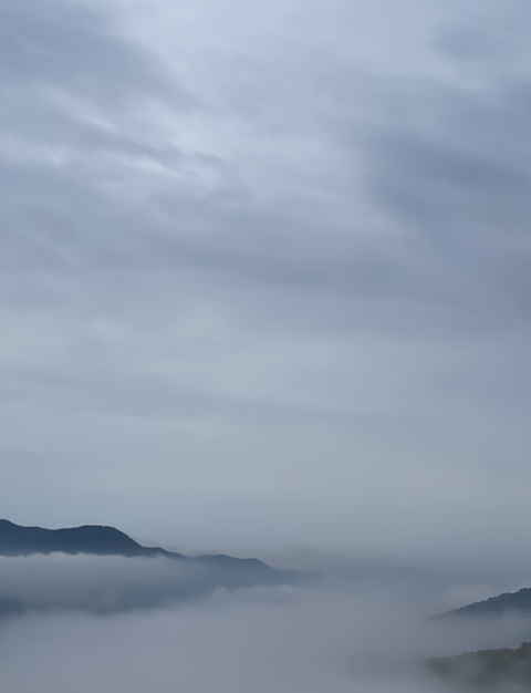 スクリーンショット 2025-08-11 13.56.36