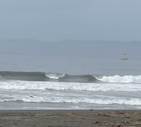 スクリーンショット 2021-05-31 15.14.37