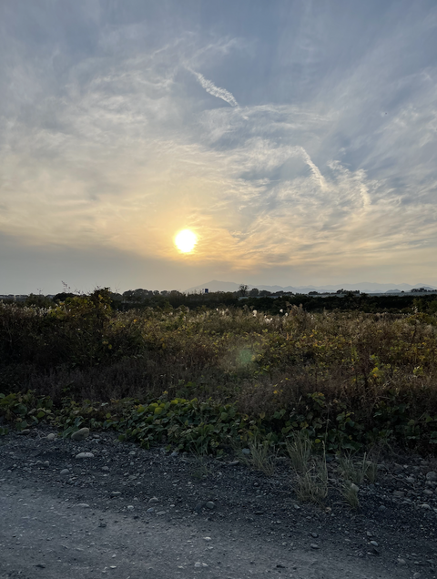 スクリーンショット 2022-11-24 1.06.15