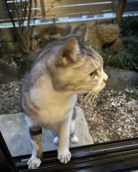 スクリーンショット 2024-10-30 11.44.46