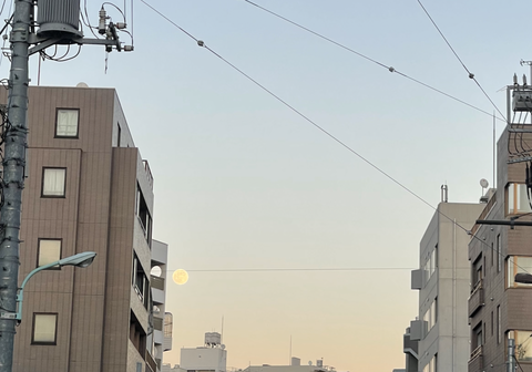 スクリーンショット 2023-12-31 16.53.36