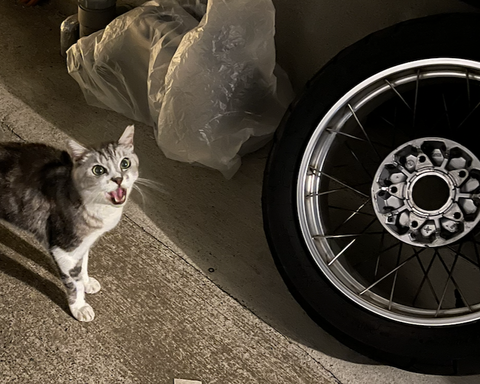 スクリーンショット 2025-09-29 10.40.43