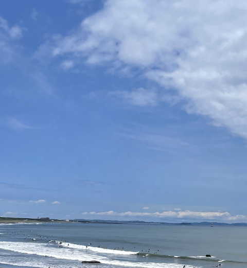 スクリーンショット 2025-08-17 17.30.35