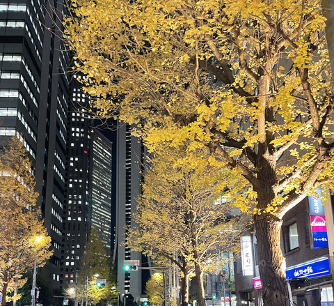 スクリーンショット 2023-12-28 11.35.22