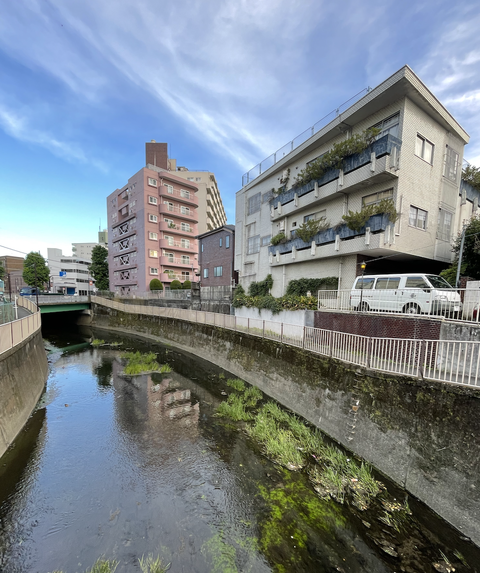 スクリーンショット 2022-08-02 12.31.43