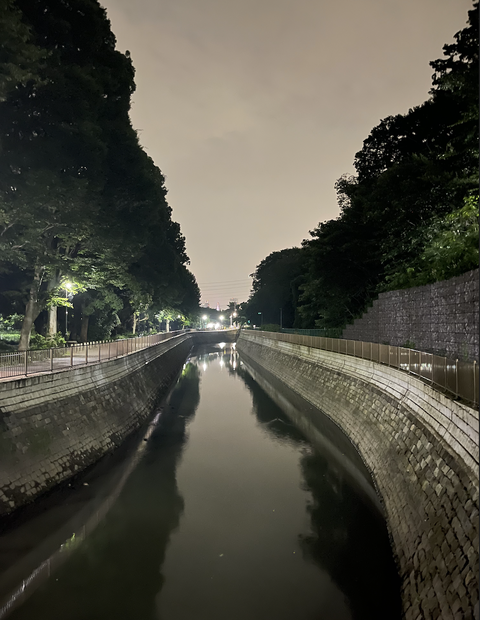 スクリーンショット 2024-07-18 12.40.44