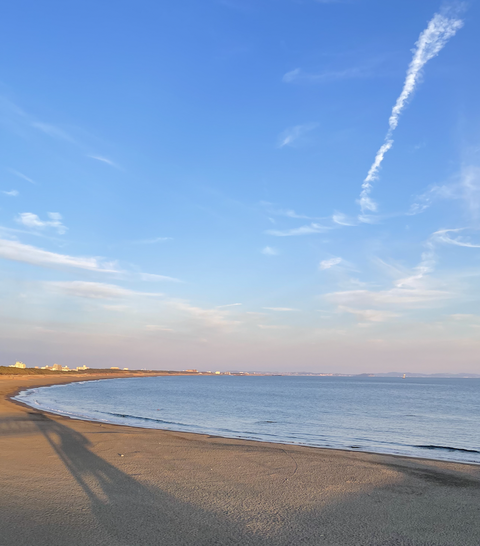 スクリーンショット 2024-02-21 11.33.25