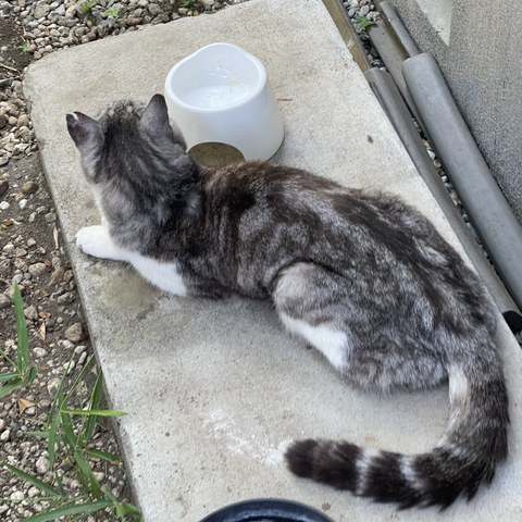 スクリーンショット 2025-08-11 14.52.34