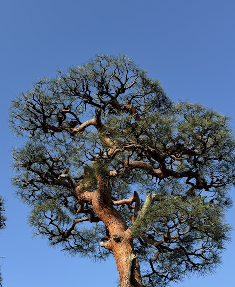 スクリーンショット 2026-01-09 12.44.57