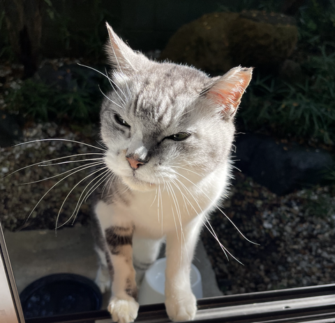 スクリーンショット 2024-11-29 12.52.19