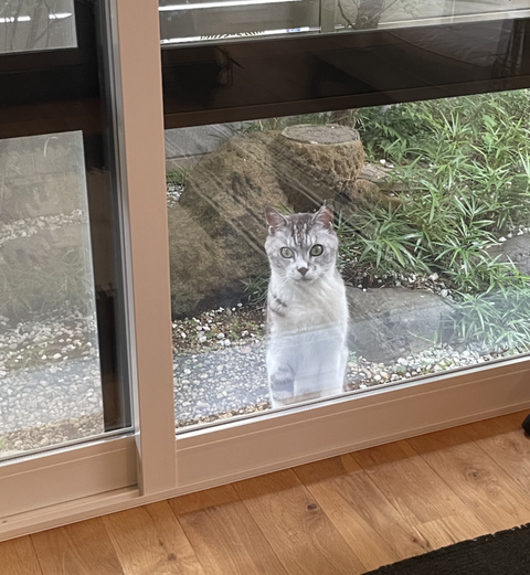 スクリーンショット 2024-06-28 11.20.05