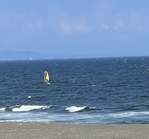 スクリーンショット 2022-08-29 16.03.26