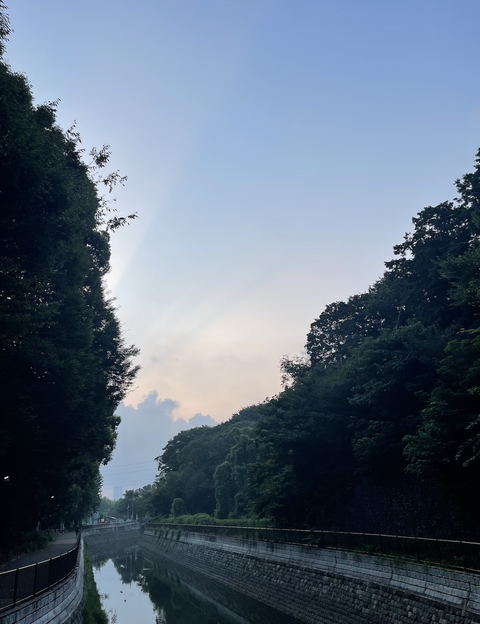 スクリーンショット 2025-08-27 2.05.29