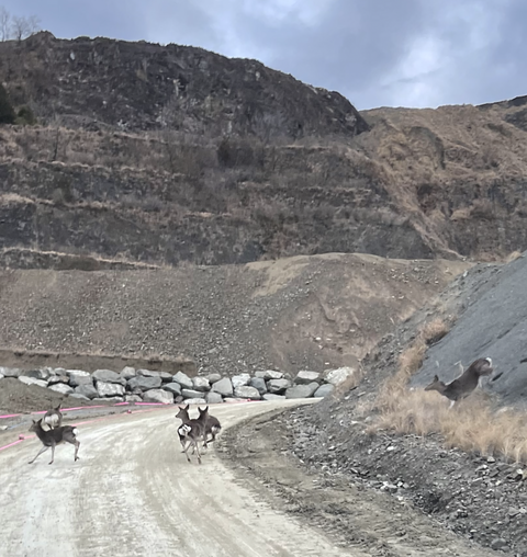 スクリーンショット 2024-02-02 11.27.23