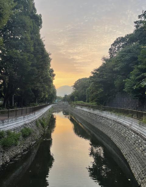 スクリーンショット 2025-08-26 7.09.48