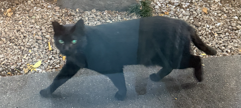 スクリーンショット 2025-11-27 10.33.34