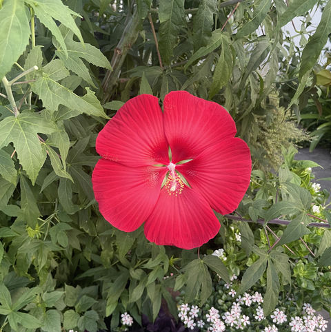 スクリーンショット 2025-09-03 7.30.23