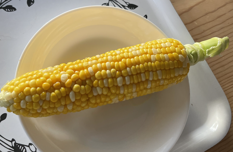 スクリーンショット 2023-06-01 11.09.08