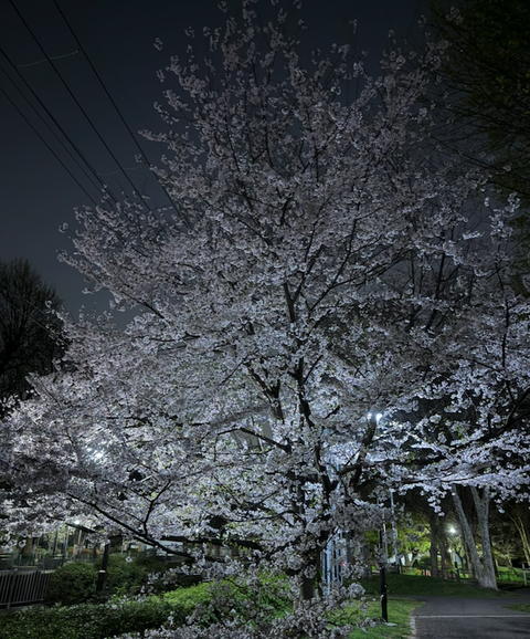 スクリーンショット 2026-03-29 11.42.26