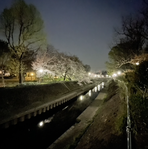 スクリーンショット 2021-03-29 8.55.33