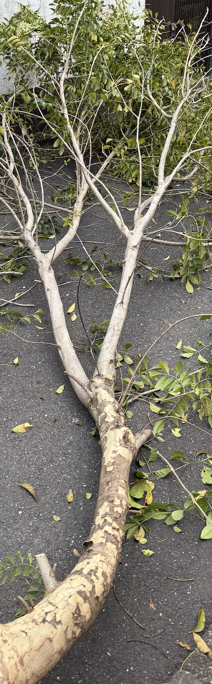 スクリーンショット 2026-03-28 14.13.56