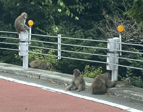 スクリーンショット 2025-08-11 13.55.25