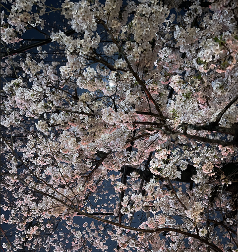 スクリーンショット 2021-03-27 1.19.44