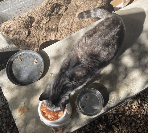 スクリーンショット 2025-11-06 21.48.50