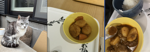 スクリーンショット 2026-01-06 14.22.29