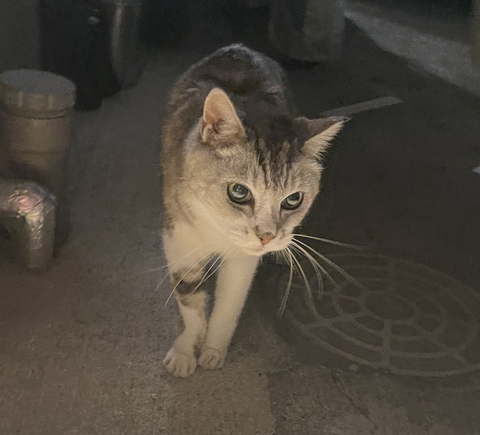 スクリーンショット 2025-07-30 23.30.37